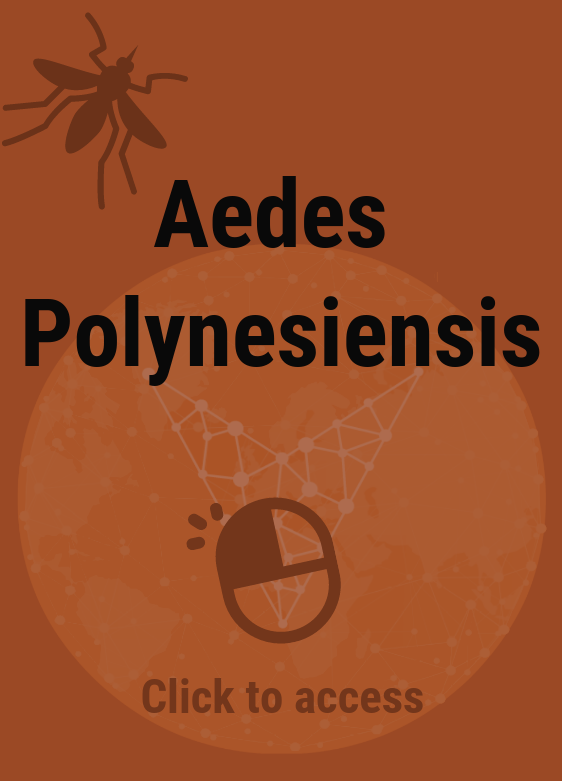 Aedes Polynesiensis