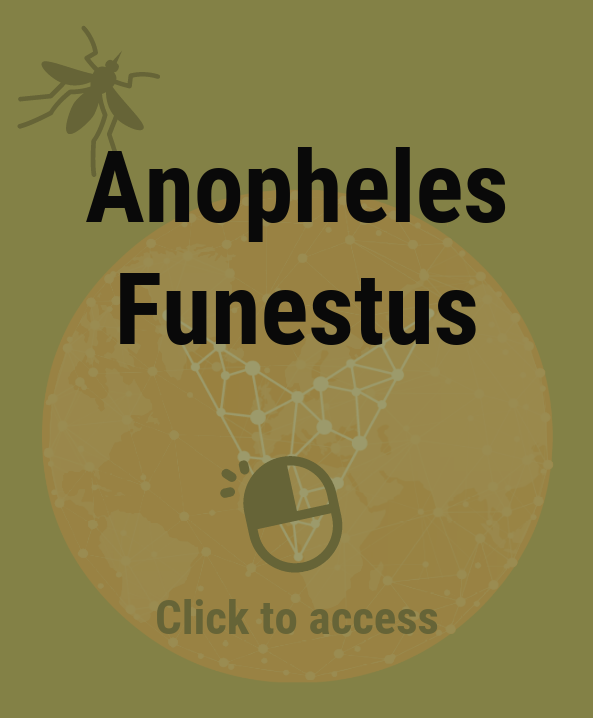 Anopheles Funestus