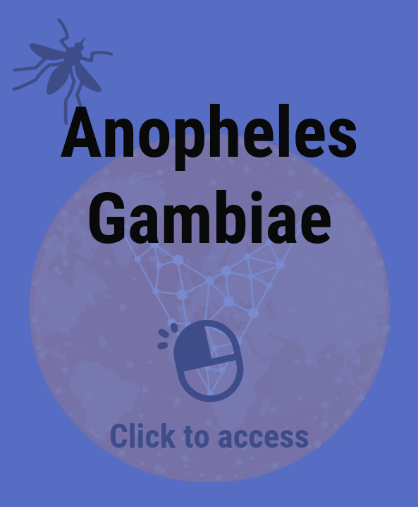 Anopheles Gambiae