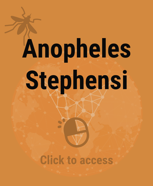Anopheles Stephensi