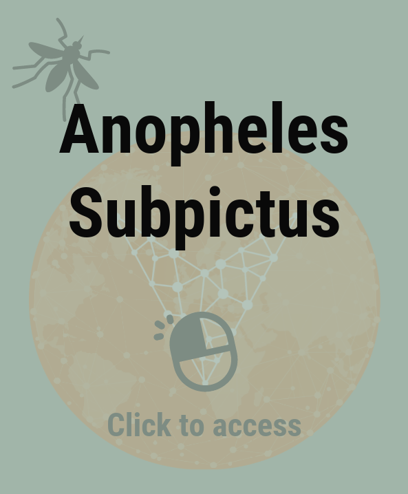 Anopheles Subpictus