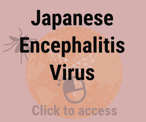 Japanese Enchepalitis Virus