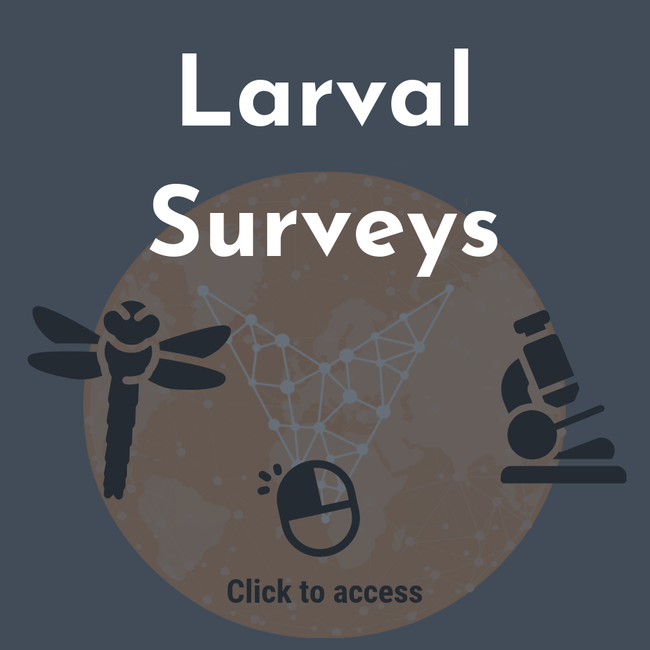 Larval Surveys