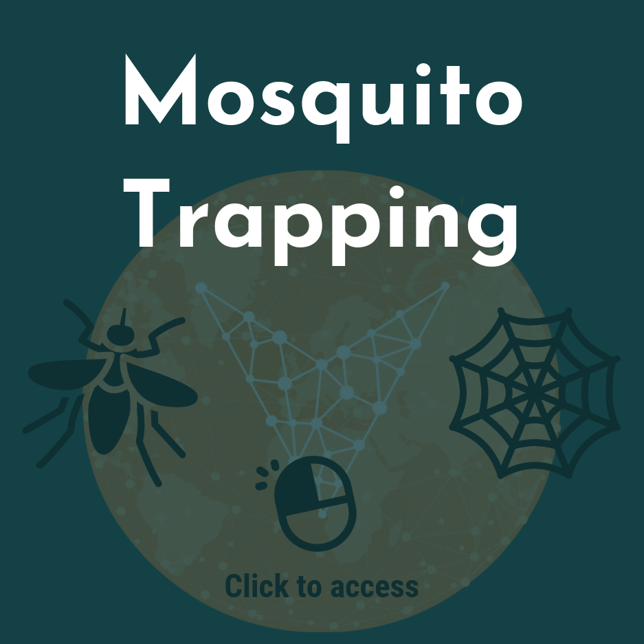 Mosquito Trapping